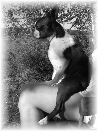 Wallu in memoriam